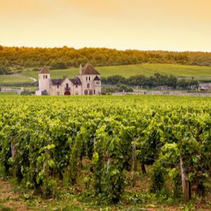 Chateau with vineyards, Burgundy, France